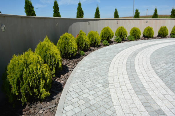 Best Driveway Drainage Solutions in Beechwood Trails, OH